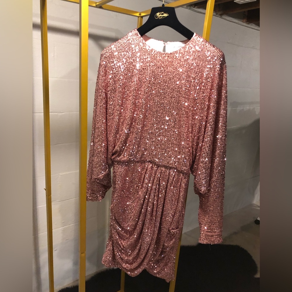 Redemption Sequined Chiffon Mini Dress